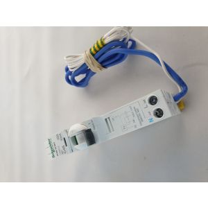 C Curve RCBOs - 30mA - RCBO 1PPNs 45A C 30mA 