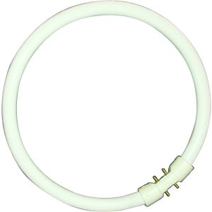 T5 Circular Fluorescent Tube - 40W T5 2GX13, 4000K, 16,000 hrs