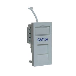 25 x 50mm RJ45 Cat5e module